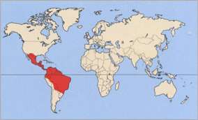 Среда обитания носуха Среда обитания носуха