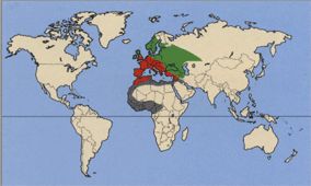 Славка черноголовая ареал Славка черноголовая ареал