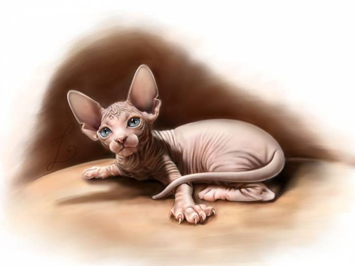 священные животные