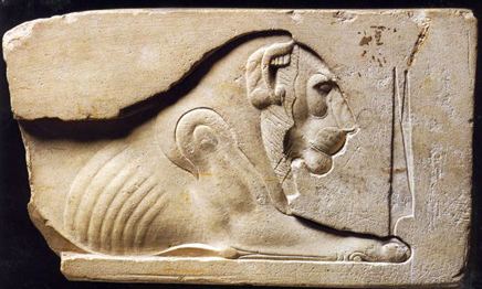 священные животные