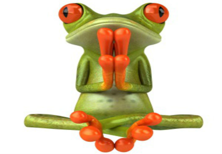 священные животные