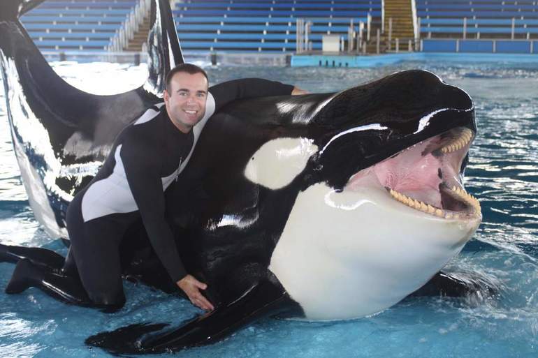 Кейко, знаменитая косатка