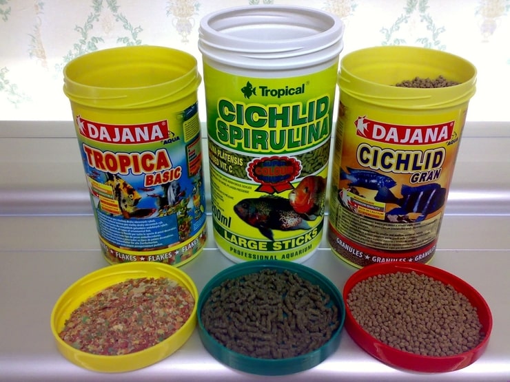 виды кормов