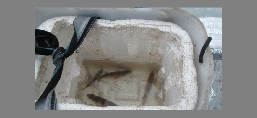 Закрепите крышку