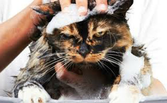 Меры предосторожности Меры предосторожности