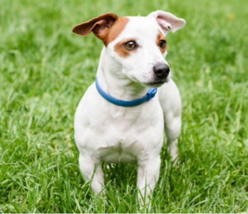 Использование и меры предосторожности Использование и меры предосторожности