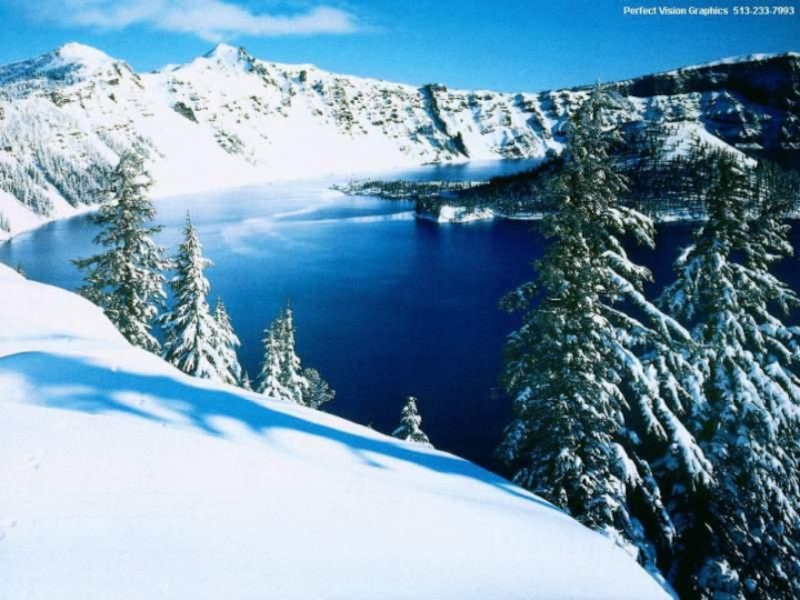 Огненная кошка гималайских гор