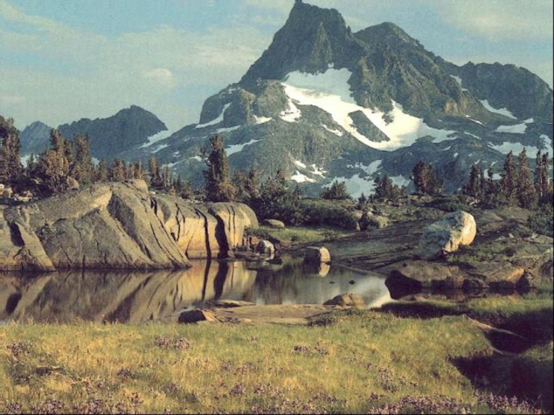 Огненная кошка гималайских гор