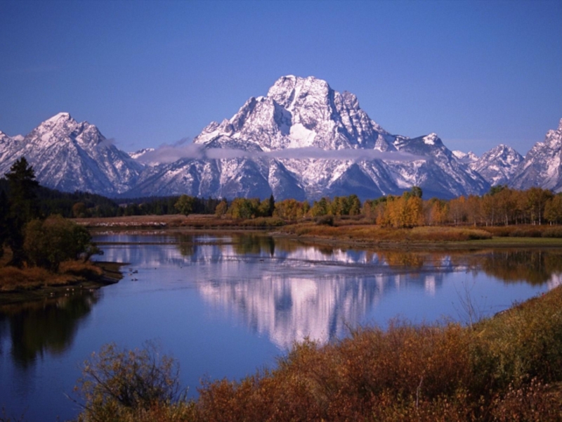 Огненная кошка гималайских гор
