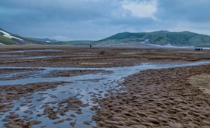 арктика летом