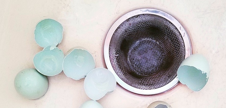 Куры, несущие голубые и зеленые яйца: породы, описание