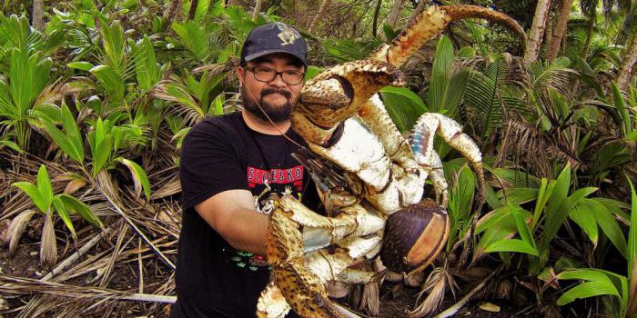 кокосовый краб