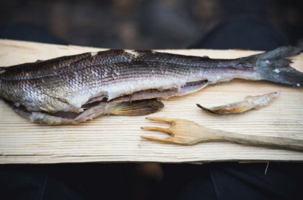 Navaga fisk Navaga fisk