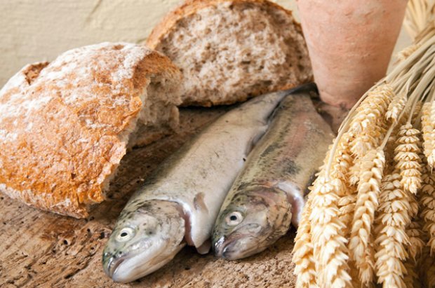 Navaga fisk Navaga fisk