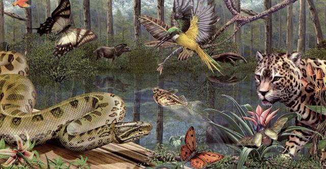 Биотопный биоценоз