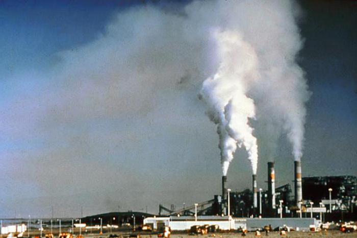 отрицательное влияние человека на животных