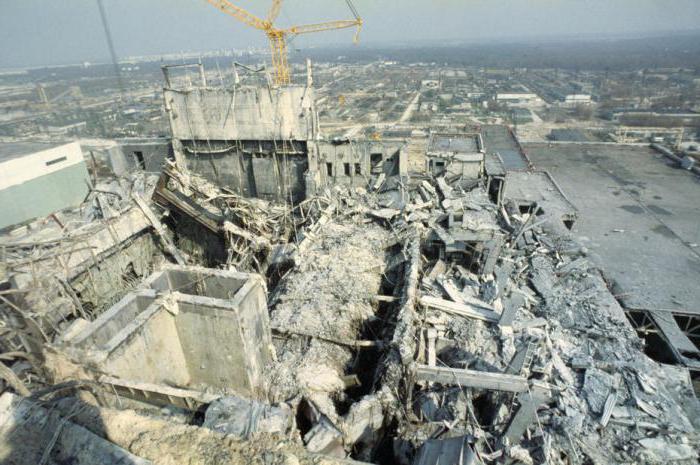 влияние человека на животный мир