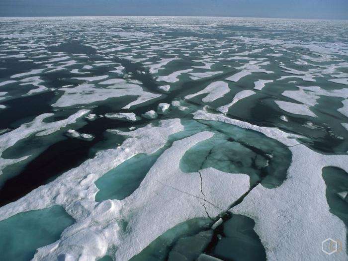Самый холодный океан на планете: климат и органический мир