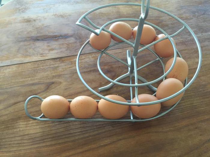 высокая половая порода белых кур