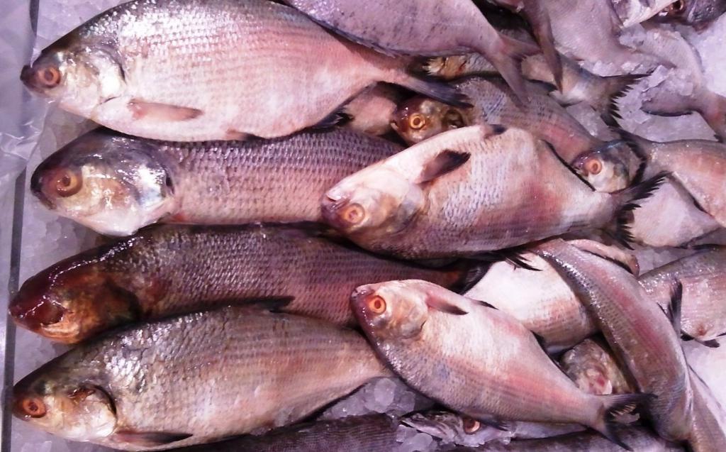 американский шэд