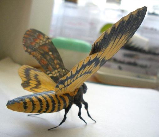 бражник «мёртвая голова»