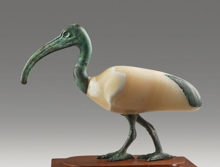 Египетские кошки-сфинксы