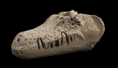 Священные животные Древнего Египта список