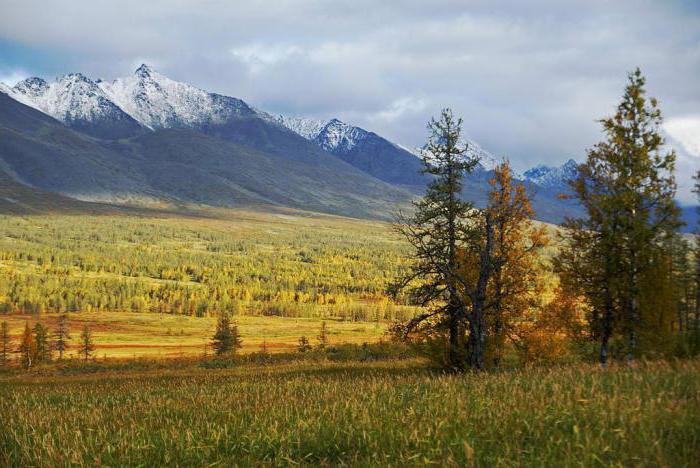 красная книга урала животные и растения