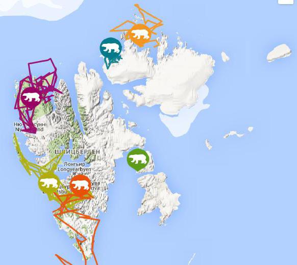 естественная среда