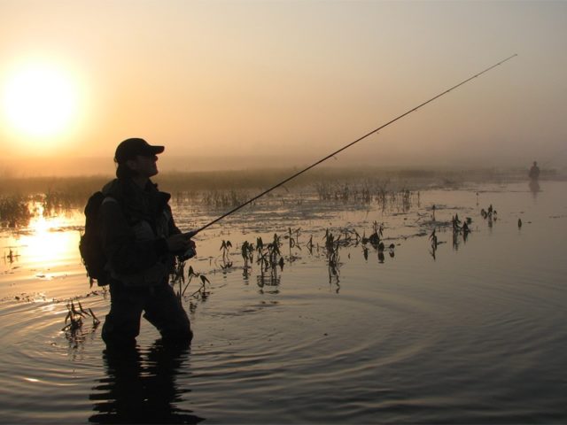 как ловить язя на спиннинг