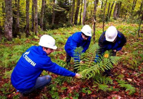 Краснодарский край климат и экология 