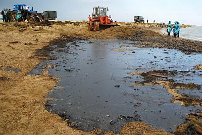 азовское море биологические ресурсы 