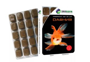 Отоцинклюс: аффинис и другие виды, содержание