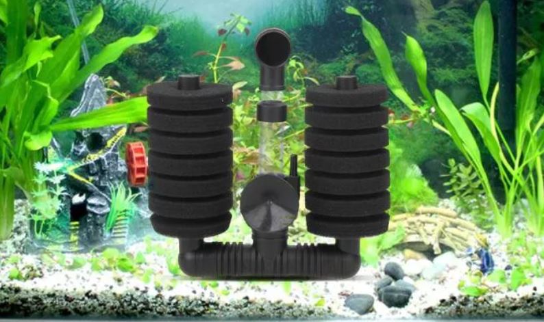 Отоцинклюс: аффинис и другие виды, содержание