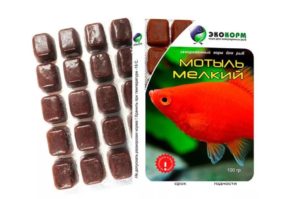 Отоцинклюс: аффинис и другие виды, содержание