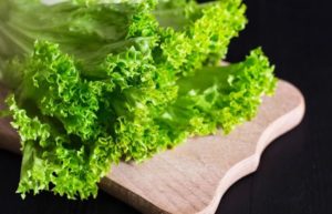 Отоцинклюс: аффинис и другие виды, содержание