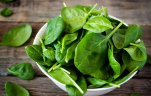 Отоцинклюс: аффинис и другие виды, содержание