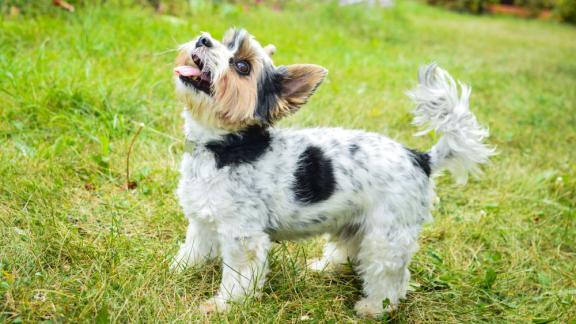 На что нужно обратить внимание при тренировке: основные моменты