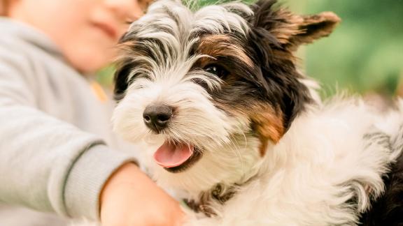 Характер и поведение