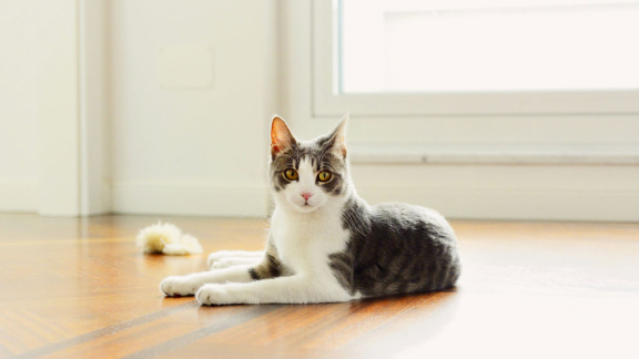 Преимущества и недостатки операции