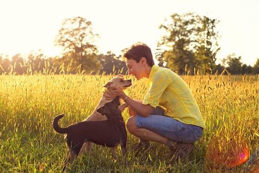 Фото собаки с людьми