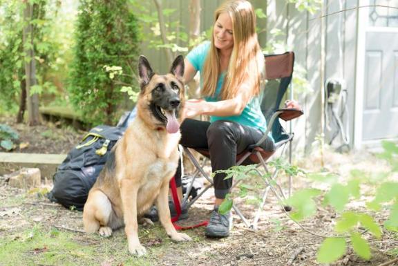 Фотография немецкой овчарки со своим хозяином