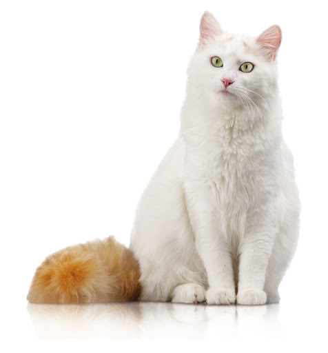 тряпичная кукла