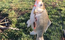 Фото рыбалки в Тюмень 0