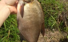 Фото рыбалки в Тюмень 6