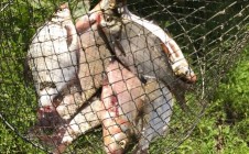 Фото рыбалки в Тюмень 5