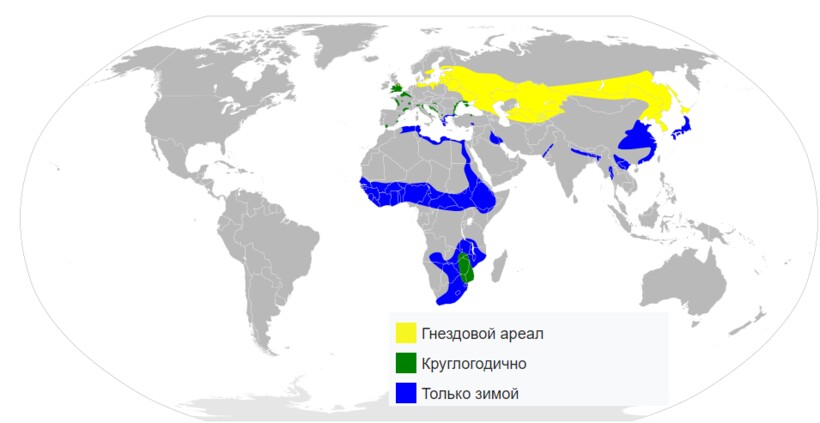 Ареал большой выпи