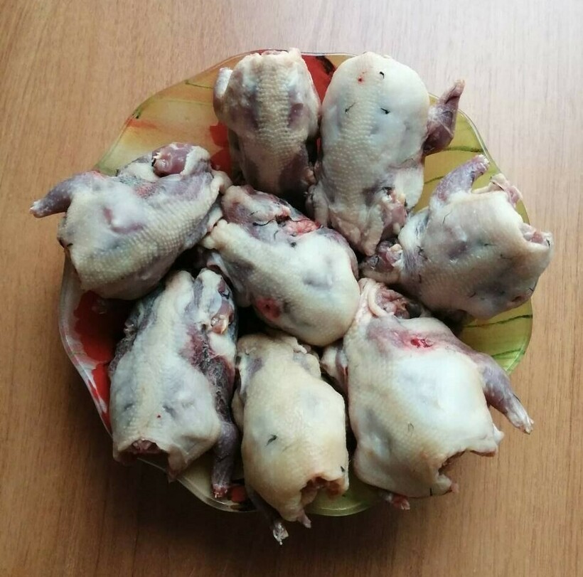 Дрозд в кулинарии