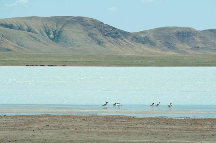 08ACF467-AC36-4E1A-85EA-A5399A25BCF3.jpg?1624612930