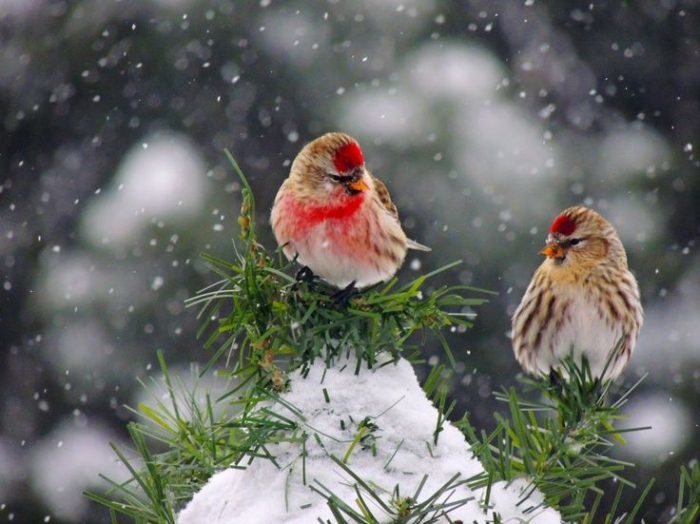 Подготовка к спаррингу
